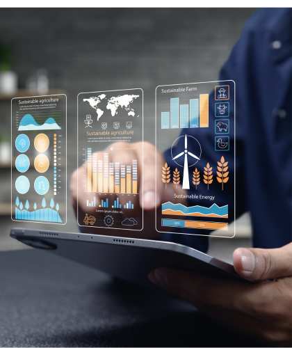 Project Execution Phase